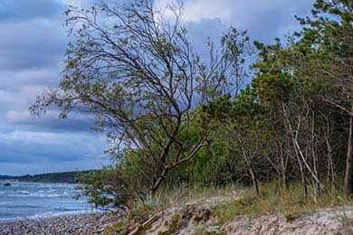 DeFi Token Performance & Investor Trends Post-October Crash: The Fallout, the Fakers, and Why 2025 Will Be More of the Same Old Bullshit